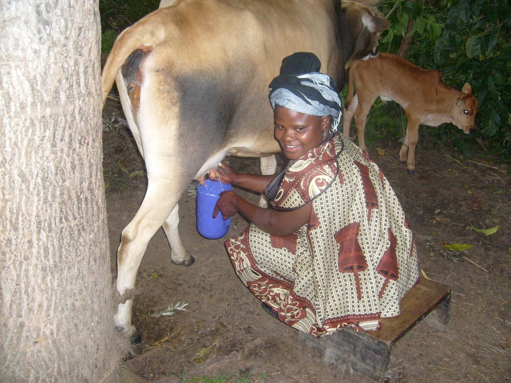 HOPE FOR 50 KENYAN WOMEN , YOUTH MICRO -ENTERPRISE