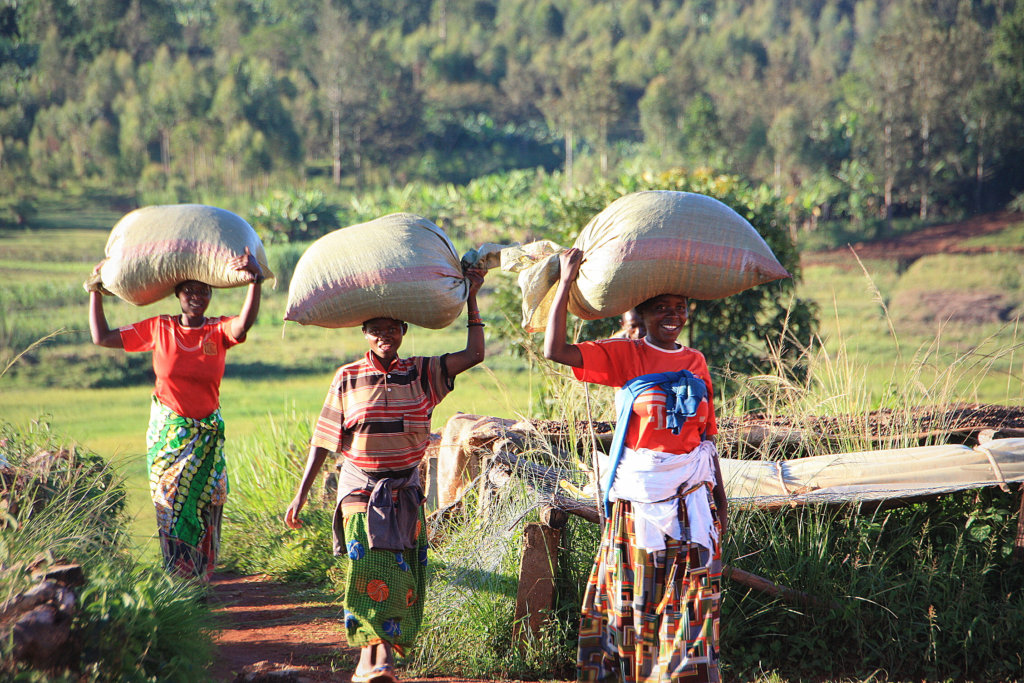 Support 200 women coffee farmers