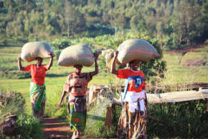 Women Coffee Farmers Cooperative