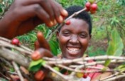 Support 200 women coffee farmers