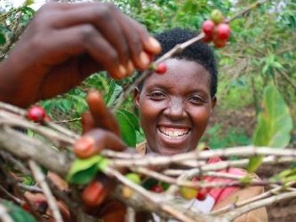 Support 200 women coffee farmers
