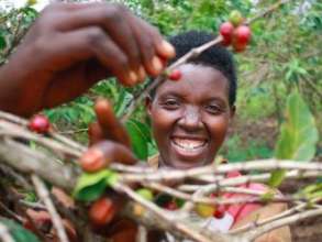 Support 200 women coffee farmers