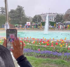 The White House Rose Garden before the Egg Roll