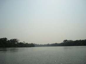 Moa River and Tiwai Island