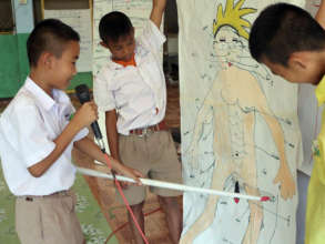 Boys learn how their organs develop