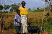 Strengthening our Congo Community with a Goat Bank