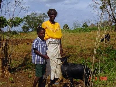 Strengthening our Congo Community with a Goat Bank