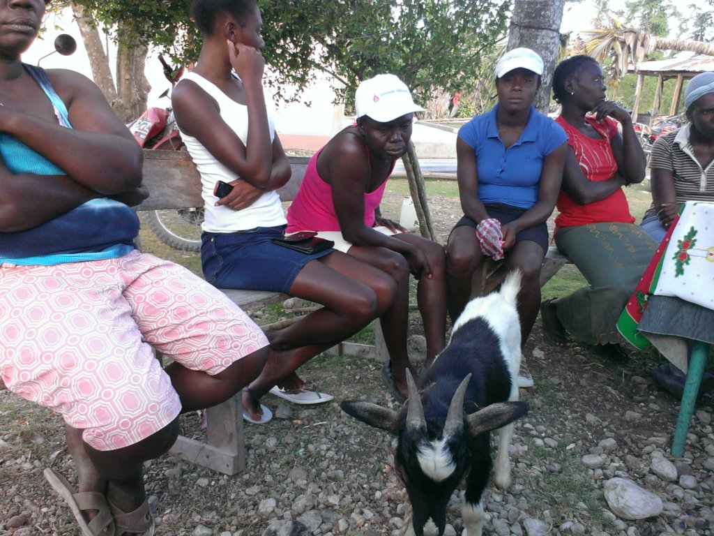 Revenue Creation for Women in Rural Haiti