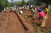 Feed Marginalized Families Through Gardens