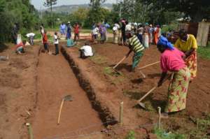 Feed Marginalized Families Through Gardens