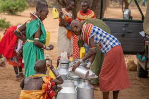 Milk to Market Program in Action