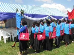 Blue Group leads the parade of borrowers
