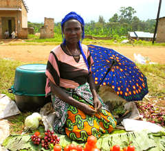 WMI Borrower selling produce