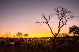 Hlokomela Bush Party fundraising event