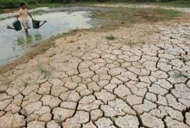 Feed 300 Wayuu in drought-stricken Guajira