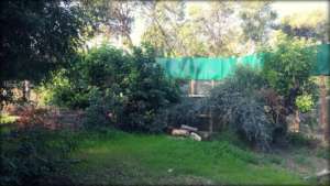 Behind the logs, you can see the new night house.