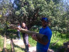 Volunteers from Masa Israel Helped our Staff