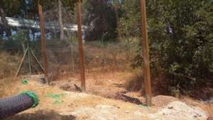 Staff and volunteers installed mesh fencing.