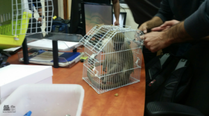 At the Police Station in the seller's tiny cage.