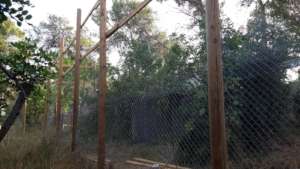 mesh division between the enclosures