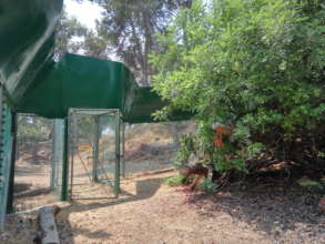 entrance new enclosure