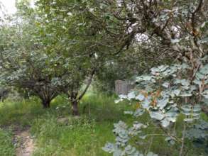 the land to be developed