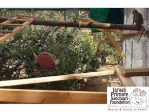Tammu viewinghis new home