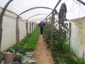 Greenhouse Tunnel to Be Re-built