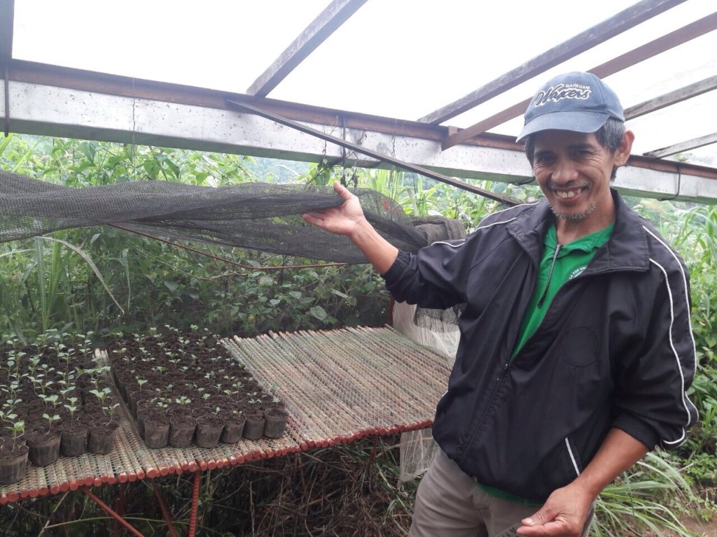Farmer Galvey and Seedlings to be planted