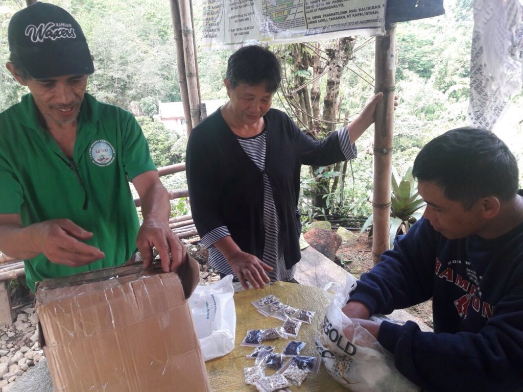 Farmers Sorting their first Seeds Propagated