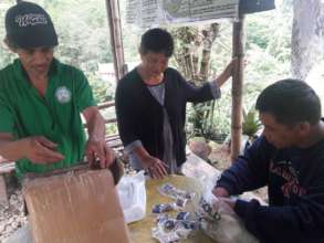 Farmers Sorting their first Seeds Propagated