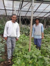 Farmer Smiles with his new Greenhouse