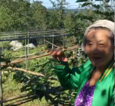 Farmer with new Greenhouse