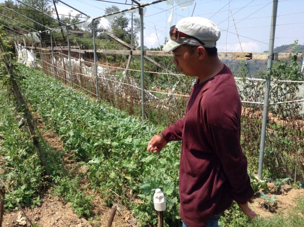Support Organic Seed Savers in the Philippines