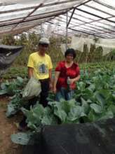 Seed Saver Farmers The Galvey's