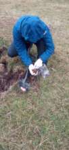 Sampling agricultural soils.