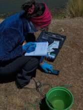 Sampling water in San Juan river