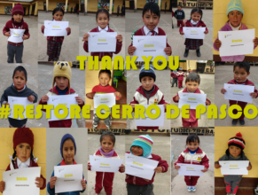 Thank you donors!