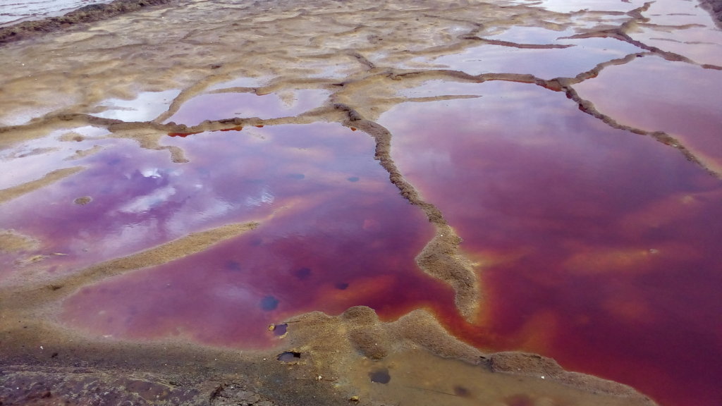 Restore Health in Cerro de Pasco