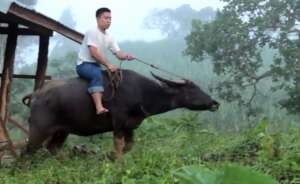 the daily life of a farm boy