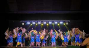 depicting native birds of negros oriental