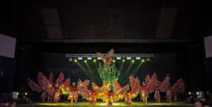 cultural stage show