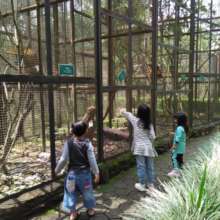 Zoo sightseeing