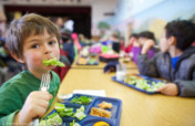 Ingredients for Healthy Schoolkids