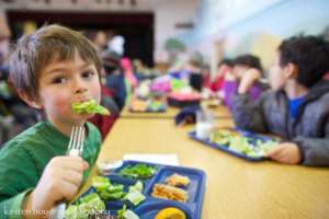 Ingredients for Healthy Schoolkids