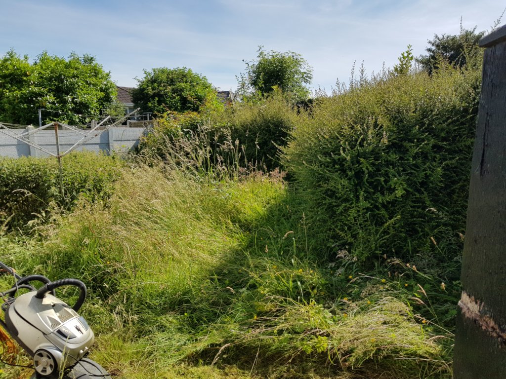 Garden Clearance Before