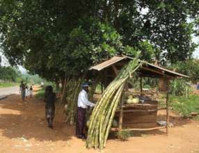 Mzee's roadside fruit/vegetable stand.