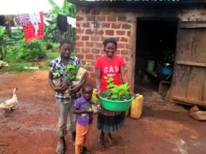 Giving out Mulberry Trees