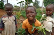 Fruit trees for Uganda