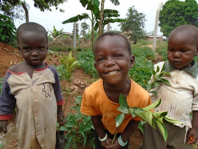 Fruit trees for Uganda